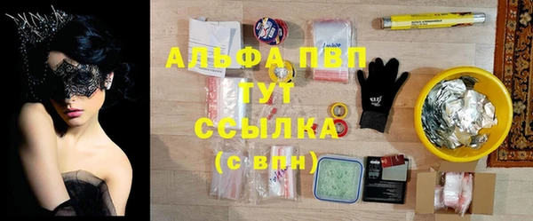 бошки Инта