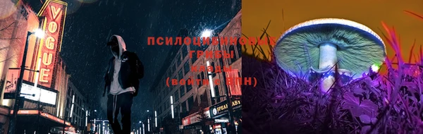 бошки Инта